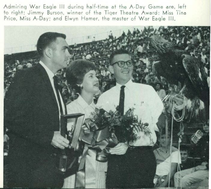 Brother Elwyn Hamer with War Eagle III at A-Day halftime, 1964
