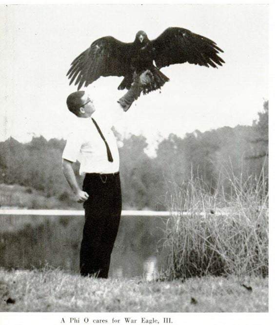 War Eagle in the 1965 Glomerata yearbook