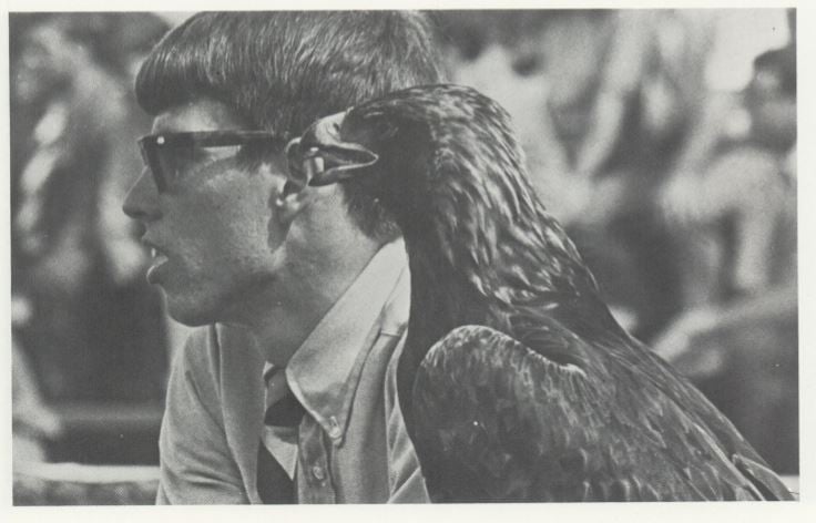 Profile portrait of War Eagle IV in the 1970s
